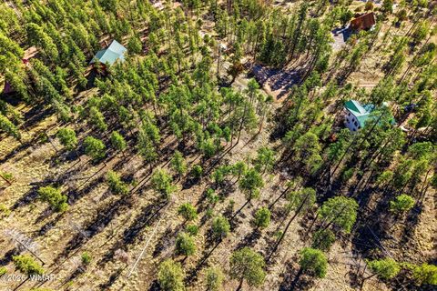 Tiny photo for 12 W Pergatory Drive, Alpine, AZ 85920 (MLS # 260075)