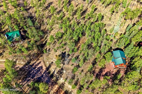 Tiny photo for 12 W Pergatory Drive, Alpine, AZ 85920 (MLS # 260075)