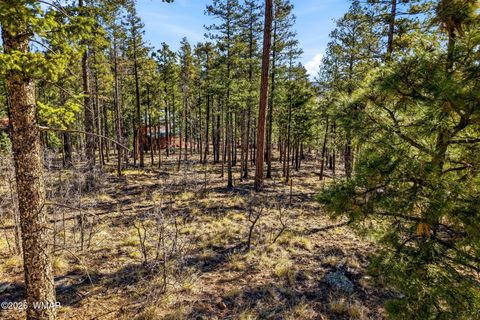 Tiny photo for 12 W Pergatory Drive, Alpine, AZ 85920 (MLS # 260075)