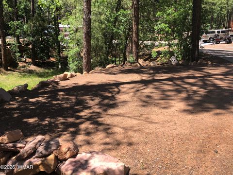 Tiny photo for 3840 S Mule Skinner Loop, Show Low, AZ 85901 (MLS # 261455)