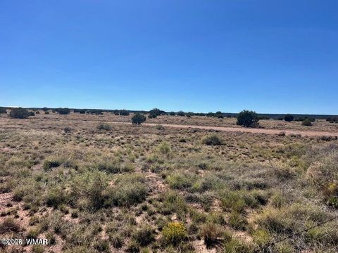 Tiny photo for 001 N9027, Concho, AZ 85924 (MLS # 259171)