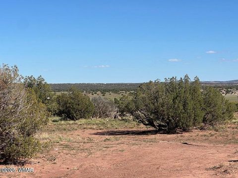 Tiny photo for 001 N9027, Concho, AZ 85924 (MLS # 259171)