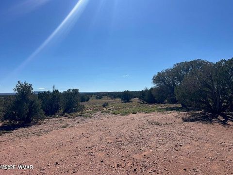 Tiny photo for 001 N9027, Concho, AZ 85924 (MLS # 259171)