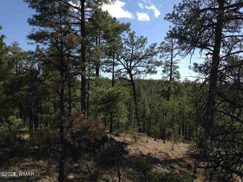 Tiny photo for 2281 S Bristlecone Drive, Show Low, AZ 85901 (MLS # 249980)