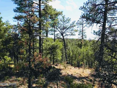 Photo of 2281 S Bristlecone Drive, Show Low, AZ 85901 (MLS # 249980)