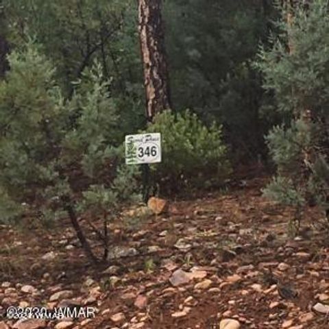 Tiny photo for 2281 S Bristlecone Drive, Show Low, AZ 85901 (MLS # 249980)