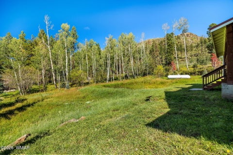 Tiny photo for 61 County Road 1121, Greer, AZ 85927 (MLS # 263171)