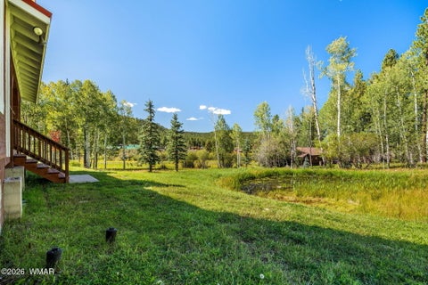 Tiny photo for 61 County Road 1121, Greer, AZ 85927 (MLS # 263171)