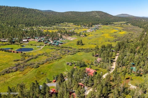 Tiny photo for 61 County Road 1121, Greer, AZ 85927 (MLS # 263171)