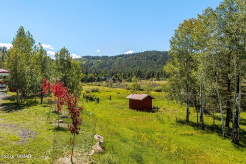 Tiny photo for 61 County Road 1121, Greer, AZ 85927 (MLS # 263171)