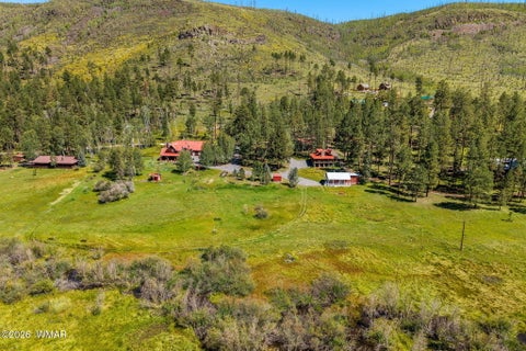 Tiny photo for 61 County Road 1121, Greer, AZ 85927 (MLS # 263171)