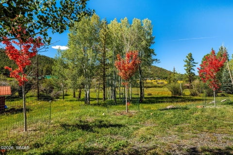 Tiny photo for 61 County Road 1121, Greer, AZ 85927 (MLS # 263171)