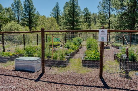 Tiny photo for 4646 West Tatanka Loop, Show Low, AZ 85901 (MLS # 258101)