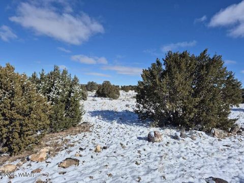 Tiny photo for TBD ACR 8620, Concho, AZ 85924 (MLS # 259053)