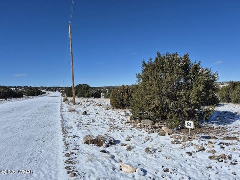 Tiny photo for TBD ACR 8620, Concho, AZ 85924 (MLS # 259053)