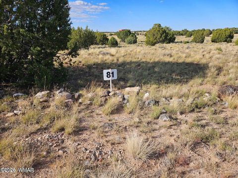 Photo of TBD ACR 8620, Concho, AZ 85924 (MLS # 259053)