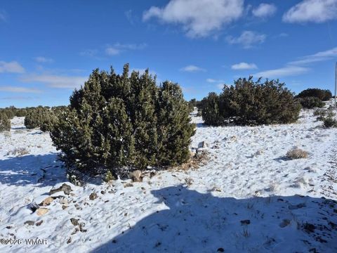 Tiny photo for TBD ACR 8620, Concho, AZ 85924 (MLS # 259053)