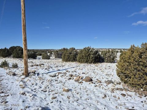 Tiny photo for TBD ACR 8620, Concho, AZ 85924 (MLS # 259053)
