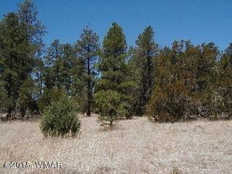 Tiny photo for 3120,3122 Whitetail Way, Overgaard, AZ 85933 (MLS # 247461)