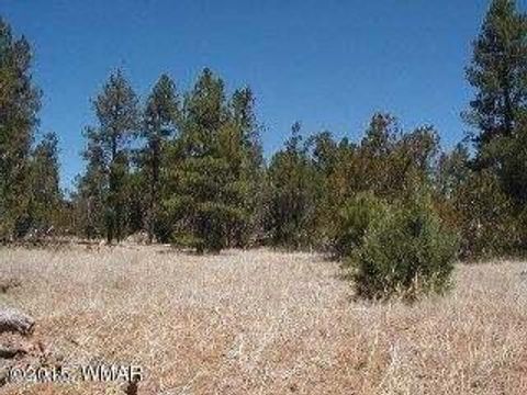 Tiny photo for 3120,3122 Whitetail Way, Overgaard, AZ 85933 (MLS # 247461)