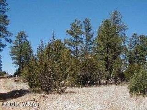 Tiny photo for 3120,3122 Whitetail Way, Overgaard, AZ 85933 (MLS # 247461)
