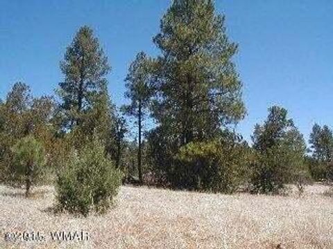 Tiny photo for 3120,3122 Whitetail Way, Overgaard, AZ 85933 (MLS # 247461)
