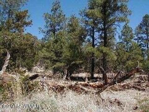 Tiny photo for 3120,3122 Whitetail Way, Overgaard, AZ 85933 (MLS # 247461)