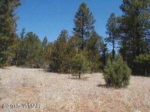 Tiny photo for 3120,3122 Whitetail Way, Overgaard, AZ 85933 (MLS # 247461)