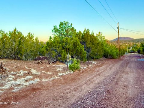 Tiny photo for 6 N3086 1.15 Acres, Vernon, AZ 85940 (MLS # 258533)