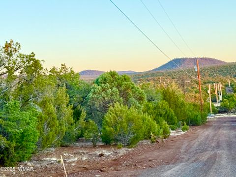 Tiny photo for 6 N3086 1.15 Acres, Vernon, AZ 85940 (MLS # 258533)