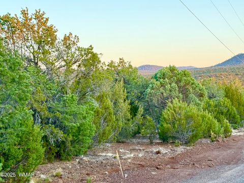 Tiny photo for 6 N3086 1.15 Acres, Vernon, AZ 85940 (MLS # 258533)