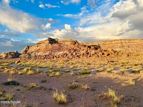 Tiny photo for 8983 Down Under 38.82 Acres Road, Holbrook, AZ 86025 (MLS # 262948)