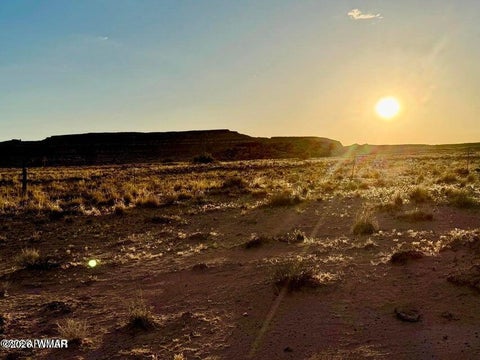 Tiny photo for 8983 Down Under 38.82 Acres Road, Holbrook, AZ 86025 (MLS # 262948)