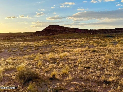 Tiny photo for 8983 Down Under 38.82 Acres Road, Holbrook, AZ 86025 (MLS # 262948)