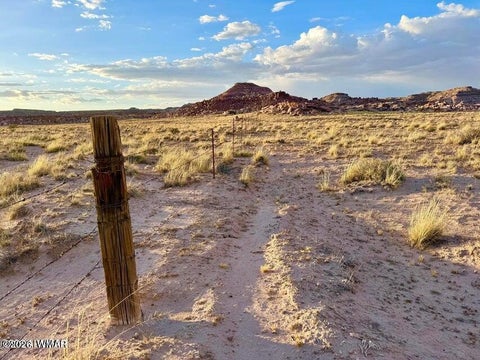 Tiny photo for 8983 Down Under 38.82 Acres Road, Holbrook, AZ 86025 (MLS # 262948)