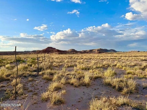 Tiny photo for 8983 Down Under 38.82 Acres Road, Holbrook, AZ 86025 (MLS # 262948)