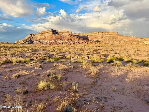 Tiny photo for 8983 Down Under 38.82 Acres Road, Holbrook, AZ 86025 (MLS # 262948)
