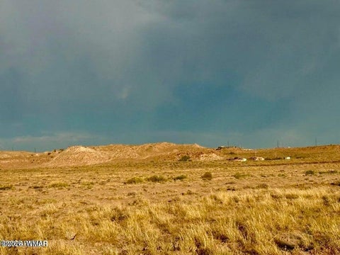 Tiny photo for 8983 Down Under 38.82 Acres Road, Holbrook, AZ 86025 (MLS # 262948)