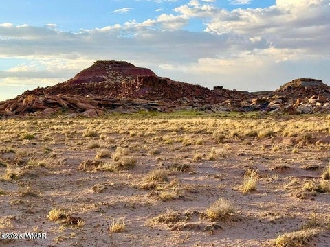 Tiny photo for 8983 Down Under 38.82 Acres Road, Holbrook, AZ 86025 (MLS # 262948)