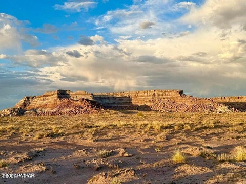 Tiny photo for 8983 Down Under 38.82 Acres Road, Holbrook, AZ 86025 (MLS # 262948)