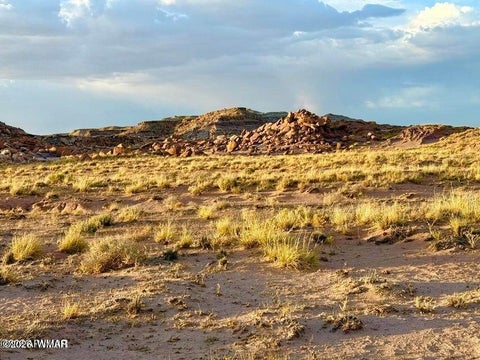 Tiny photo for 8983 Down Under 38.82 Acres Road, Holbrook, AZ 86025 (MLS # 262948)