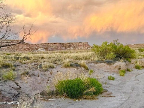 Tiny photo for 8983 Down Under 38.82 Acres Road, Holbrook, AZ 86025 (MLS # 262948)