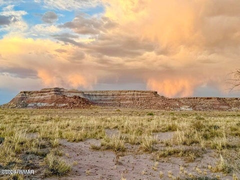 Tiny photo for 8983 Down Under 38.82 Acres Road, Holbrook, AZ 86025 (MLS # 262948)