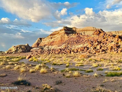 Photo of 8983 Down Under 38.82 Acres Road, Holbrook, AZ 86025 (MLS # 262948)