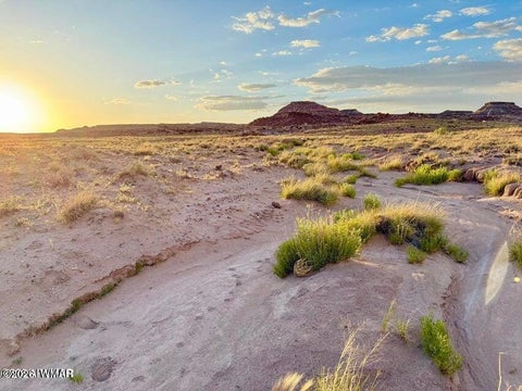 Tiny photo for 8983 Down Under 38.82 Acres Road, Holbrook, AZ 86025 (MLS # 262948)