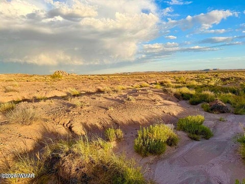 Tiny photo for 8983 Down Under 38.82 Acres Road, Holbrook, AZ 86025 (MLS # 262948)