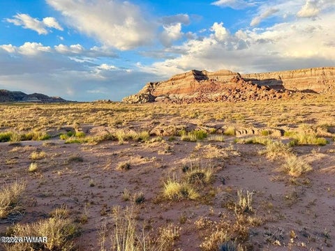 Tiny photo for 8983 Down Under 38.82 Acres Road, Holbrook, AZ 86025 (MLS # 262948)