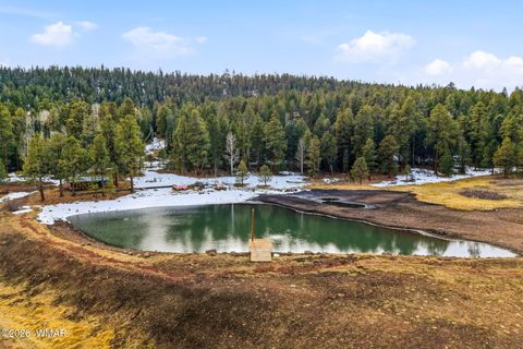 Tiny photo for 14 County Road N 1332, Greer, AZ 85927 (MLS # 259422)