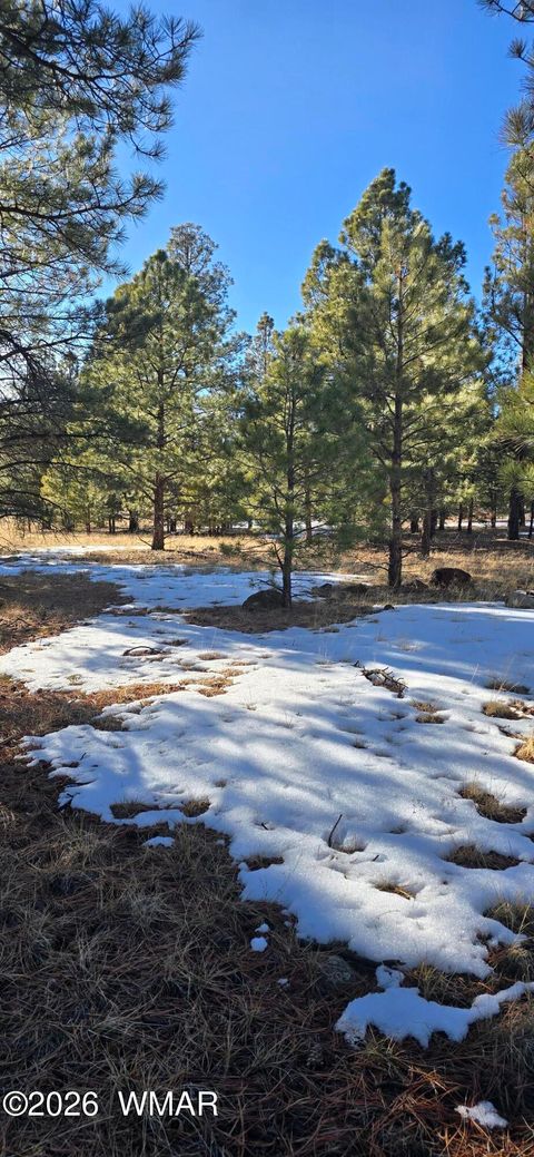 Tiny photo for 14 County Road N 1332, Greer, AZ 85927 (MLS # 259422)
