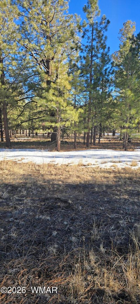 Tiny photo for 14 County Road N 1332, Greer, AZ 85927 (MLS # 259422)